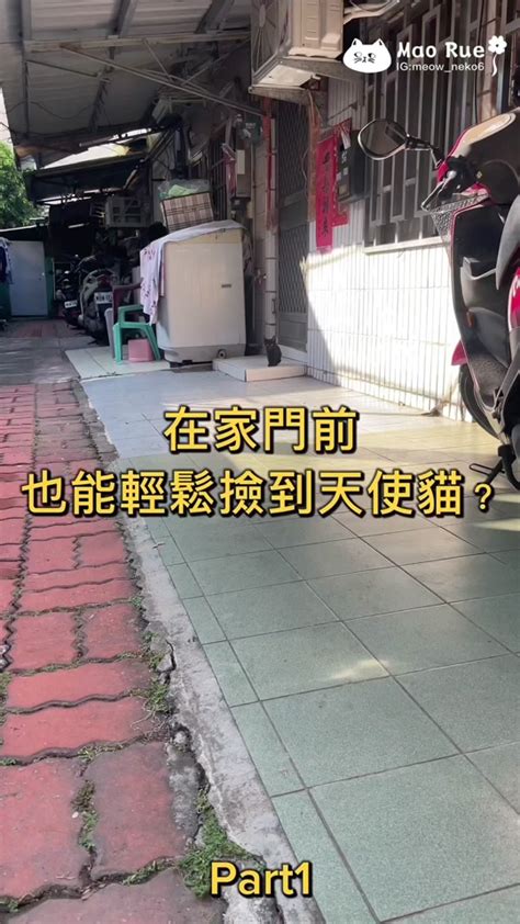 麒麟可以放一隻嗎